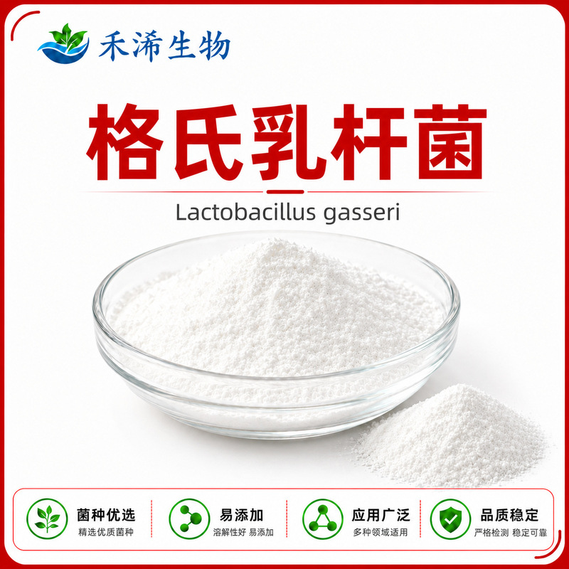 Lactobacillus Casei 10 Billion Cfu/G Probiotic Freeze-Dried Powder, Lactic Acid Bacteria Powder Raw Material. Large Quantities Available, Favorable Pricing, Samples Available
