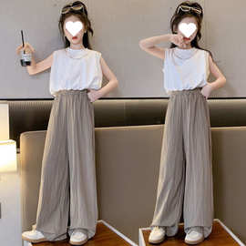 女童夏装淑女装两件套2023新款薄款雪纺衫直筒阔腿裤韩范休闲套装