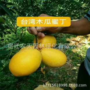 �t�����Ә������t���ֹ��������t�������������̨���Ե��ԷNֲ
