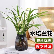 �m����ȫ���m�҃Ⱥ��B���滨���m���ļ����B������