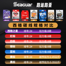 Seaguar̼ty˺ژ˸oձ·ǰ̼ؾӾ̼