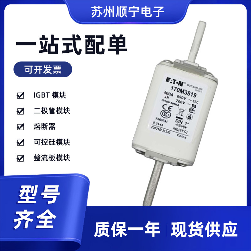 170M3819     快速低压熔断器 数量充足 标准封装 现货速发