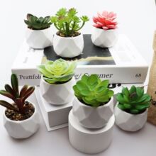 �Ѱ��ʯ���ֲ���辰�羳����������ԽM�ϔ[���Ҿ��b���