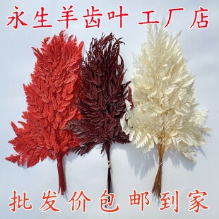�����X�~���������S�����l��ɽ���Xdiy�~�Ļ�ˇ�bɻ��滨ާ�~
