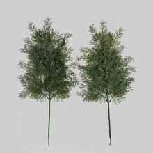 ����ֲ��ؘ��~���z�~�Gֲ�Ȱؘ��~�@�ֹ����쾰�����ϼؘٰ��~