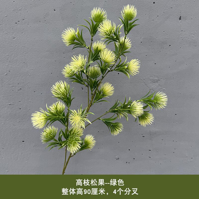 높은 가지 솔방울