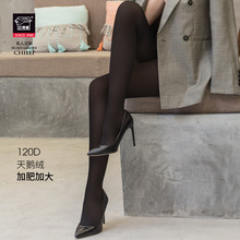 tamŮ150DZqӷʼӴ󸻽Ů⴩Bѝml