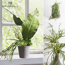 ����ֲ���צ�ݴ��������� ���zȔ �Ꭷ���ֶ����҃�ܛ�b�廨�b�