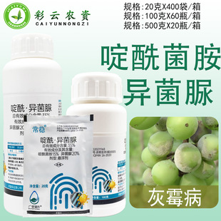 ����35%����������������ѻ�ù���rș���������������V���x�r