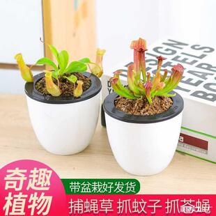 �i�\���x�����ʳ�˻��ݲ���ω�����Կ͏dֲ���҃Ȼ��ܓ�ω���ش�