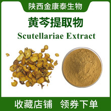 黄芩提取物10:1水溶性黄芩粉Scutellariae Extract量大优惠现货