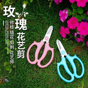 ��ˇ�����r���ꌣ�ò��P���֦�����@ˇ���Ի����޻��廨���ù���