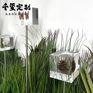 标本转转墙互动科普蝴蝶植物中草药实心包埋定制亚克力树脂手工