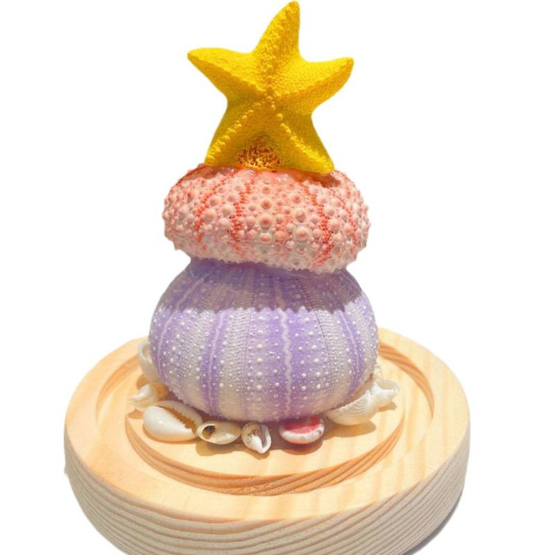 新年春节摆件贝壳diy海胆壳发光小夜灯材料包生日礼物送女友|undefined