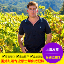 智利原瓶原装进口葡萄酒佳美娜1.5L大瓶装总代理批发3斤自贸区