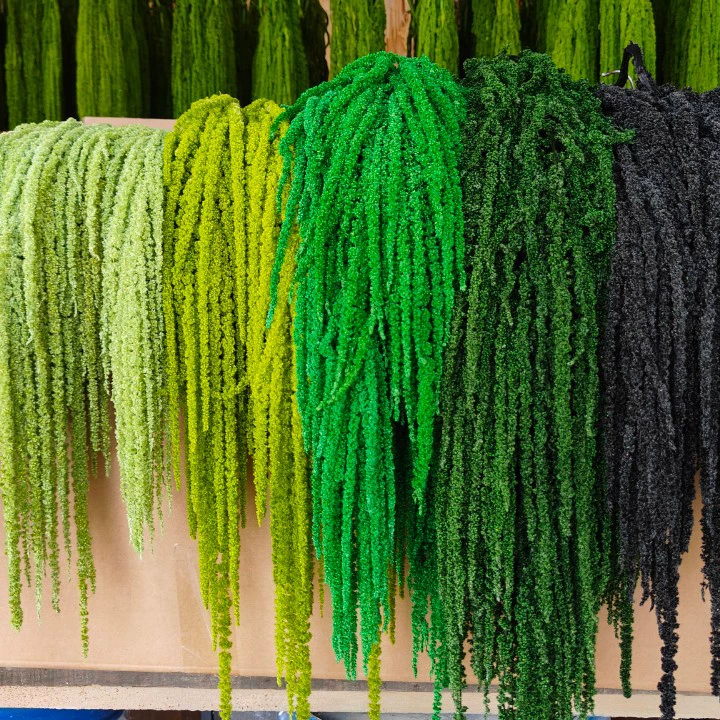 Подвеска из консервированных цветов, Rouli Silk Lover's Tears, оптовая продажа сушеных цветов на длинных стеблях, украшение свадебной фотостудии в отеле, настраиваемое.