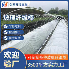 菜地育苗棚农用玻璃纤维杆蔬菜大棚小拱棚支架实心支撑杆拱杆