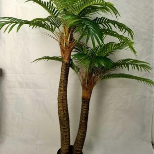 ����������������ؙ������� �̈��Ƶ��ۘ�̎��ֲ�� �����������