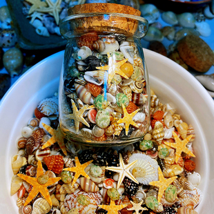 ����ؐ�� �oȾɫ �ɿ�؛��12�N��Сؐ�������S�ƿ �ղ��ֹ��˱�