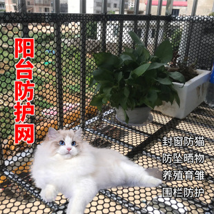 �F؛�Ӻ�������©�W�ⴰ�W�������o�W�Bֳ�����̨���o�W���ϾW