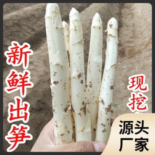 ���r���J�S�߲ˬF�ڬF�lɽ�|�a�r���߲��r���Ԯa�۹S���S5���b