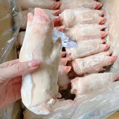 pig 's trotters Freezing Wholesaler Trotter Pig Tiptoe Direct selling Pig fresh Full container