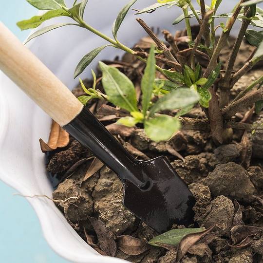 Three-piece set of gardening mini tools Three-piece set of gardening garden tools Three-piece set of fleshy small shovel/rake/spade flower planting tools