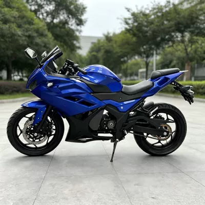 Factory Exports the Magic Shadow Rr Jiaolong Ducati Model Electric Motorcycle, 2026 New Model High-Power Electric Motorcycle for Adults (Elektrikli motosikletlər)