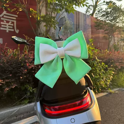 Tail Popular Cute Accessories — Car ornaments - green-and-white