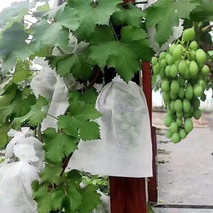 �o�������Ѵ��ӷ��x���B��ˮ���������ь����״�͸��