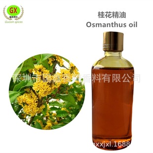 ����  �𻨾��� �𻨣�OSMANTHUS FRAGRANS������ȡ�� ��ȡ����