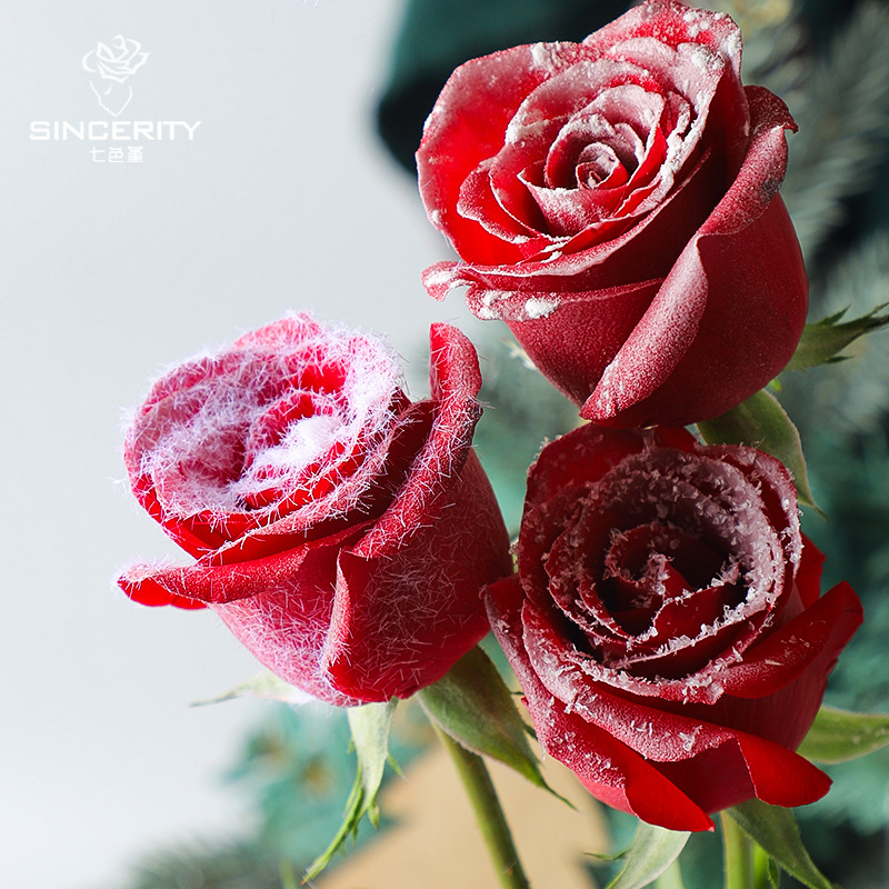 Navidad flores de nieve helada flores no derretidas paisaje de nieve floral blanca polvo de peluche imitación flocos de nieve