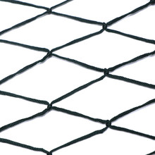 ��ʢ�K�W���a���p�Y������]�W�������O�W �ɫ�ɶ� ��