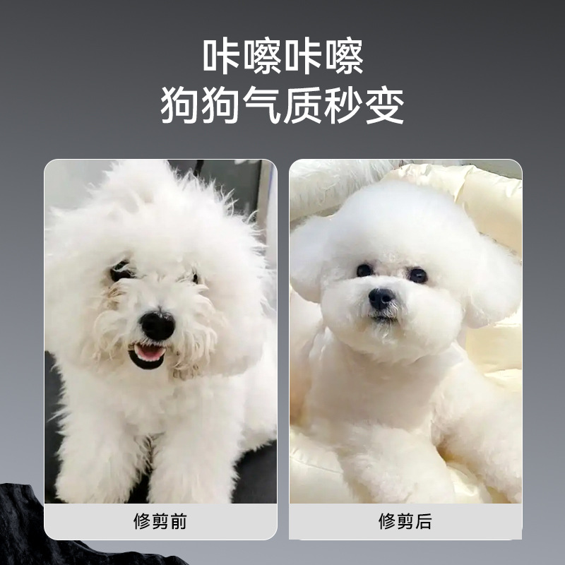 Acero inoxidable 6cr tijeras de belleza para mascotas 7 pulgadas para perros afeitar herramientas de pelo para gatos profesionales