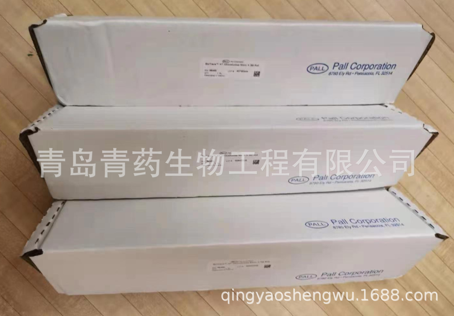 Pall66485������ά��Ĥ/NCתӡĤBioTrace NTnitro cellulose 1R