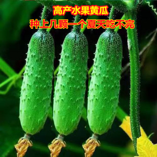 �ļ����Nˮ���S�Ϲ����ϸ߮aС�S�ϵ��d�̨���Բ����r���S�ϷN��