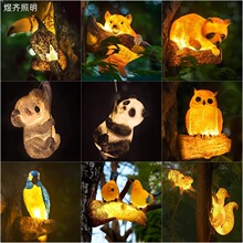 ����������@���^����С�B��ͥԺ�rׯ�I��̫��ܰl���������