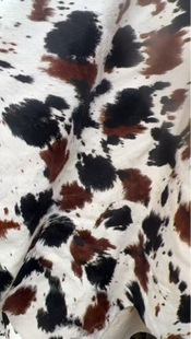 ����Ȼ��ţ���y�RëƤ�ֹ�˦�c�^���L�Rë��ɫЬ�����b�b�Ƥ��