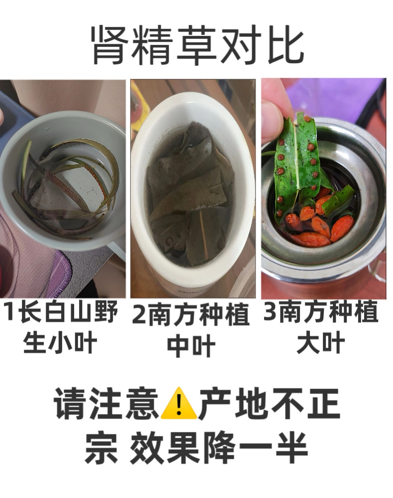Shen Jing Cao Kidney Essence Tea Wild Dried Herb for Daily Infusion 100g with Goji specifications