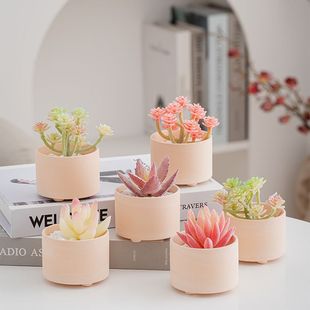 s¿Сins͸մ؟sdiyLվGֲԿ羳