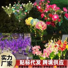 �羳̫��ܟ��ز���˰������տ�õ�廨���滨�ѹ�Ӣ��ƺ�~������