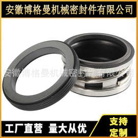 2100-65机械密封 水泵机封/水封/密封件 合金对合金氟胶