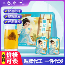 一丛小叶新货番泻叶独立包装手工挑选无添加源头工厂批发一件代发