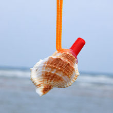 海滩扁刺海螺口哨可吹响哨子 各种贝壳海螺工艺品儿童玩具