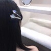 Brand hairgrip, advanced universal hair accessory, 2 carat, light luxury style, high-quality style, simple and elegant design