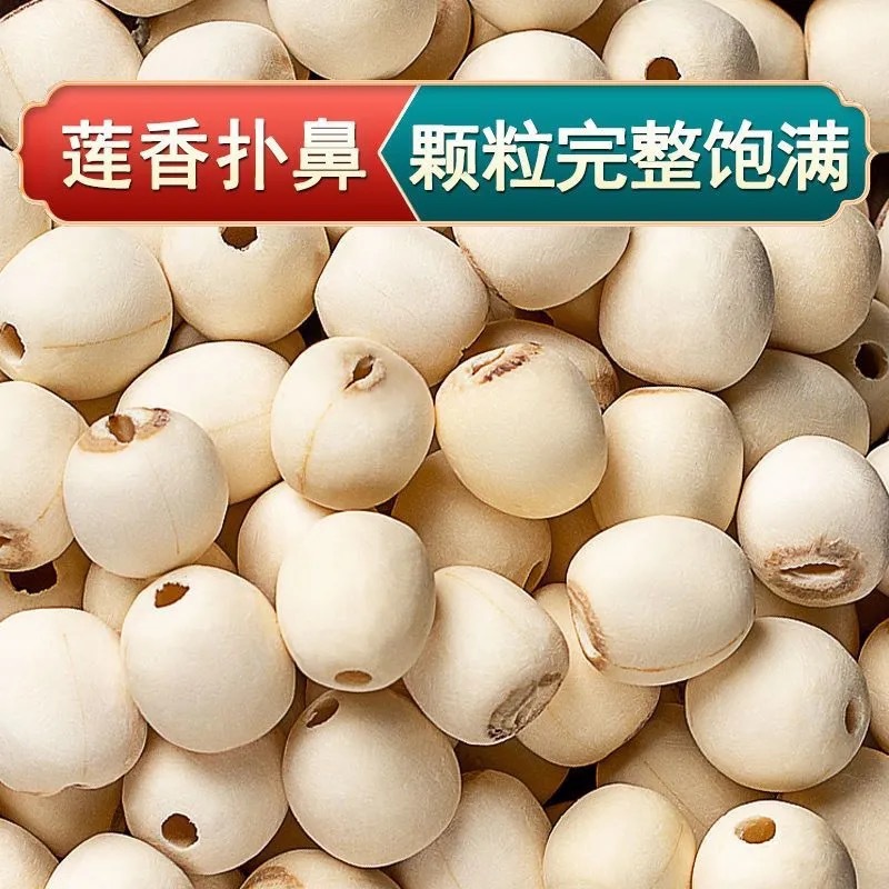 Lotus Seed (Nelumbo nucifera) — Fujian White Lotus Seeds, Core-Removed, Sulfur-Free Dried Food Herb in use