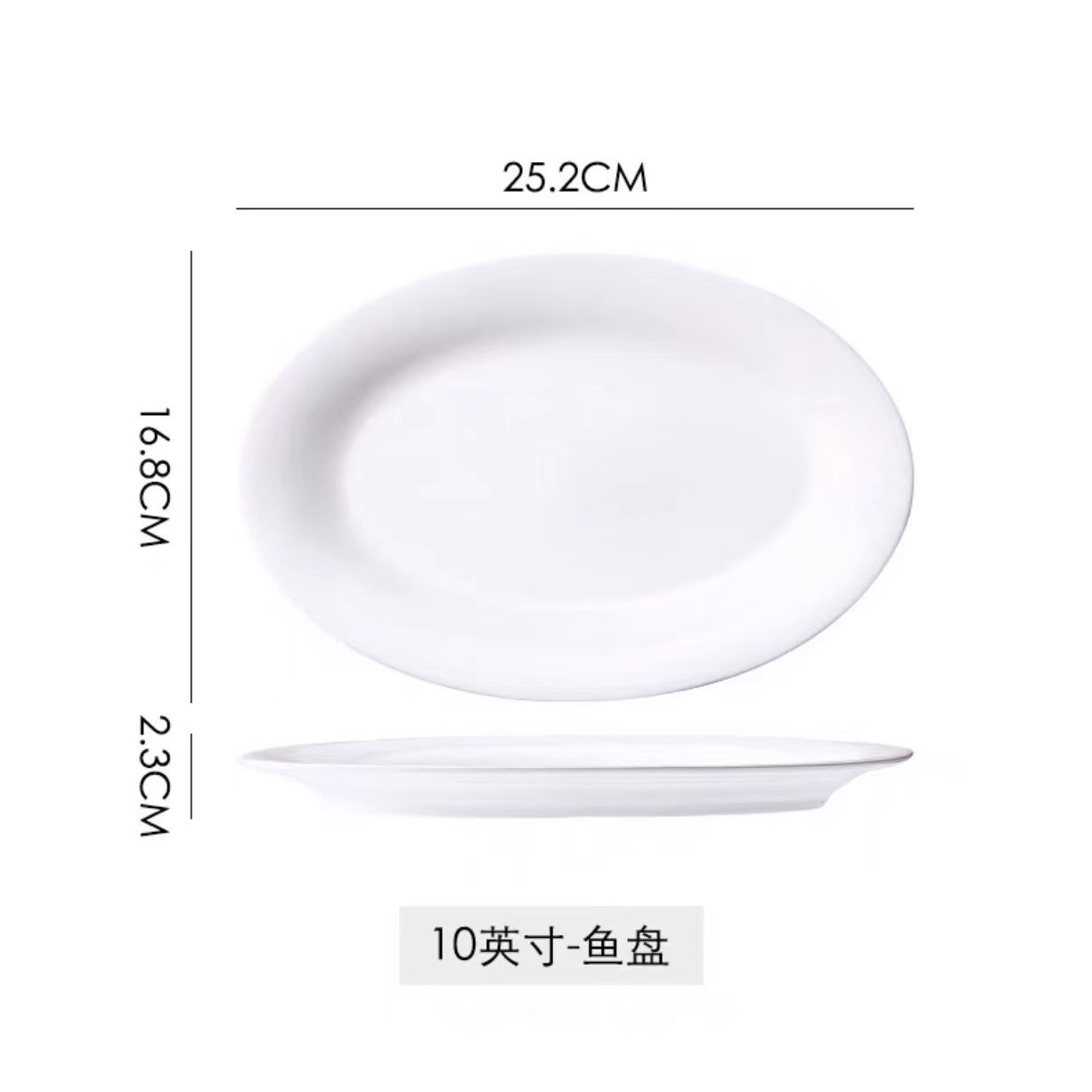 10 인치 생선 접시