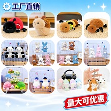 ��ƷŮ����ͨ���ޙCë�q���С�ù��Е�������耳׿ۿɐ���ż���