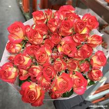 ����ֱ�l�����������ͬ�ǳ�ɫ�űȶ��^õ���r���廨���f��ˮ�ٺ�