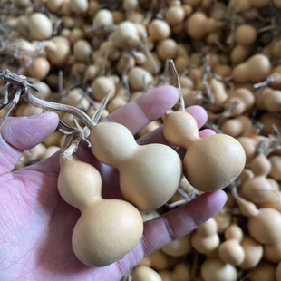 Small Gourd, Natural Gourd, Hand-Twisted Toy, Toy Ornaments, Pendants, Manufacturers, Street Stalls, Small Gadgets, Home Use, Others